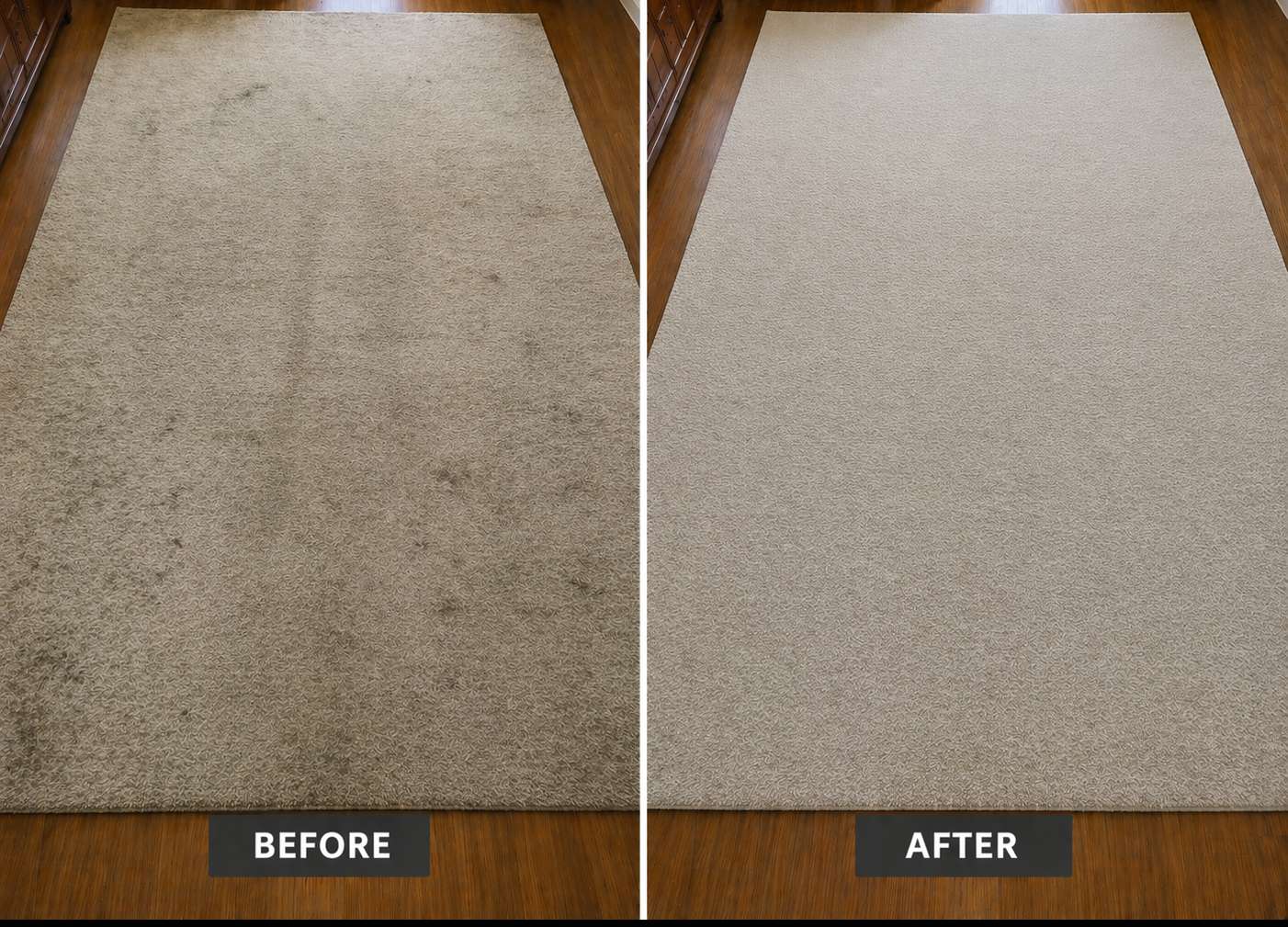 Persian Rug Deep Clean